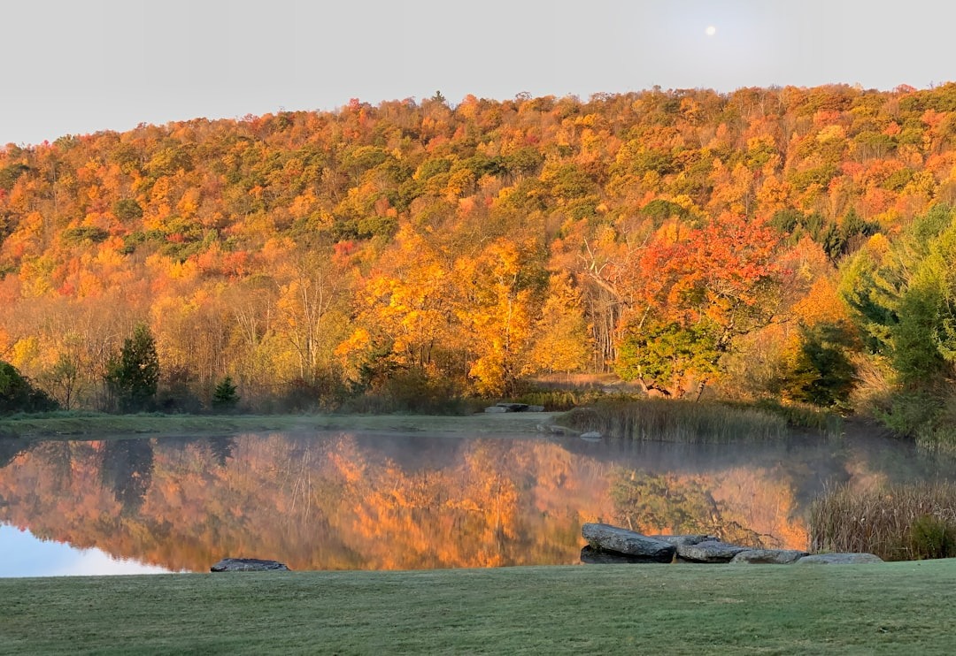 Misty lake reflects autumn trees under a pale sky.